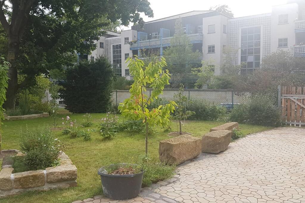 Ehemaliges Torhaus Am Rande Der Dresdner Neustadt 德累斯顿 外观 照片