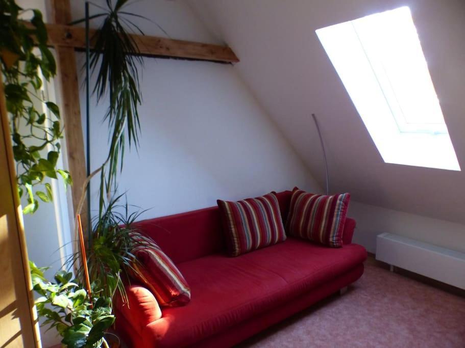 Ehemaliges Torhaus Am Rande Der Dresdner Neustadt 德累斯顿 外观 照片